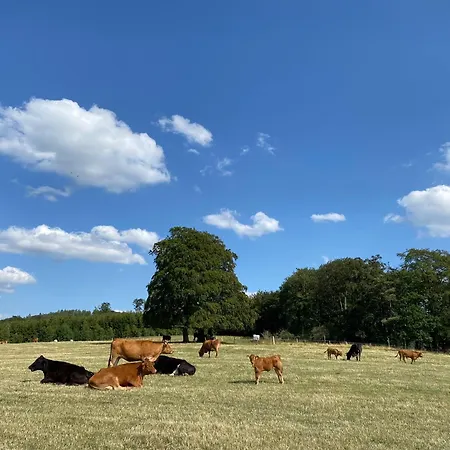 Vedders Berghuette Holiday home