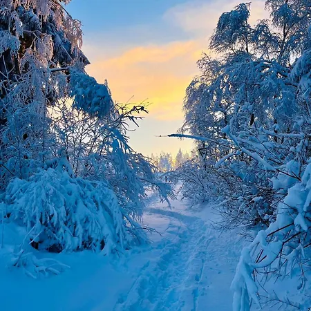 Holiday home Vedders Berghuette *