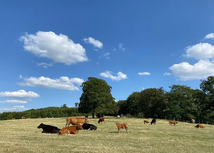 Vedders Berghuette Feriehus
